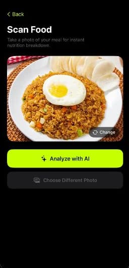 Scan food with a photo of nasi goreng